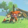 121 Bokoblin