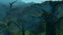 Lost Woods - Zelda Wiki