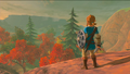 Link with a Soldier's Shield in Breath of the Wild