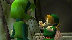 Link with Saria