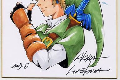 The legend of Zelda : art & artifacts : Nintendo - 2302064267 - Mangas  Shonen