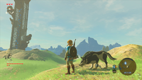 BotW Link with Wolf Link