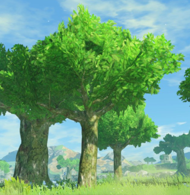 If Age of Calamity is canon, will Breath of the Wild 2 include its  splitting timeline?