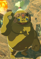 BotW Bargoh Model.png