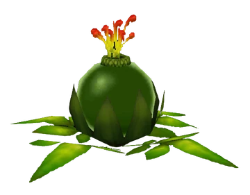 Bomb Flower - Zelda Wiki
