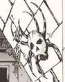 A Skulltula from the The Legend of Zelda: Ocarina of Time (Himekawa)