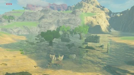 BotW Sage Temple Ruins