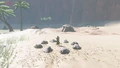 The Korok and Stone Talus found on Martha's Landing