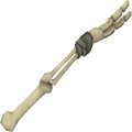 BotW Bokoblin Arm Model.png