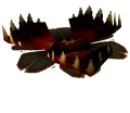 Carnivorous Lily Pad from Majora's Mask