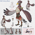 BotW Rito Male Concept Artwork.png