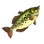 HWDE Hyrule Bass Food Icon