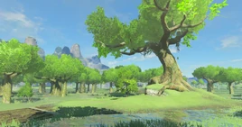 BotW Linebeck Island