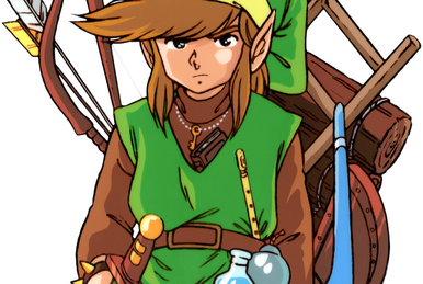 Largest Zelda Wiki On the Internet Has Gone Independent - Gameranx