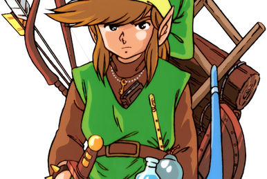 Why Doesnt Young Link ever wear pants? - General Zelda - Zelda