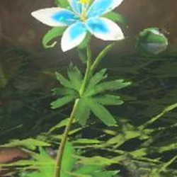 Category:Flowers - Zelda Wiki