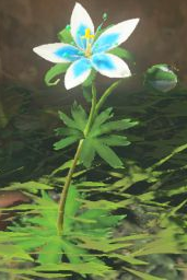 Zelda: BOTW & TOTK's Silent Princess Flower Has A Heartwarming Meaning