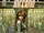 Grimm Fairy Tales: Inferno Vol 1 1