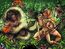 Grimm Fairy Tales Presents The Jungle Book Vol 1 4-PA