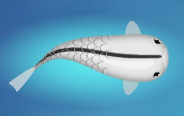 Linea Koi; one thin line in pattern color