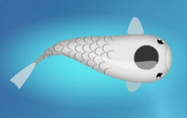 Tancho Koi; one circle in middle of forehead in pattern color