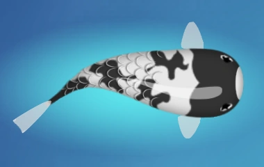 Koi with white body, fins, and tail; three splotches near tail and the head are black