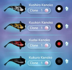 Kanoko | Zen Koi 2 Wiki | Fandom