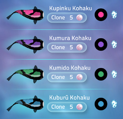Kohaku | Zen Koi 2 Wiki | Fandom