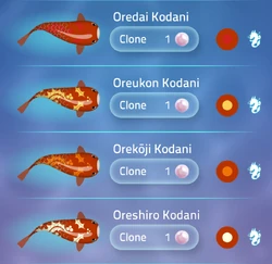 Kodani | Zen Koi 2 Wiki | Fandom