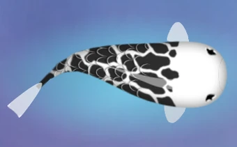 340?cb=20191210093037