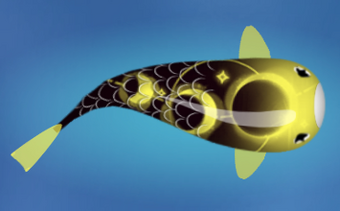 koi♩ Standard Koi For Sale | Buy Standard Koi Online | Koi Fish