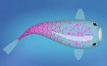 Hanabi | Zen Koi 2 Wiki | Fandom