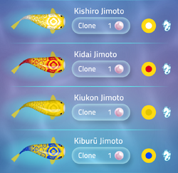 Jimoto | Zen Koi 2 Wiki | Fandom