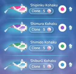 Kohaku | Zen Koi 2 Wiki | Fandom