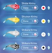 Kirinu Zen Koi 2 Wiki Fandom