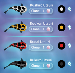 Utsuri | Zen Koi 2 Wiki | Fandom