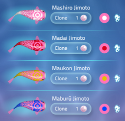 Jimoto | Zen Koi 2 Wiki | Fandom