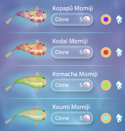 Momiji | Zen Koi 2 Wiki | Fandom