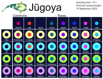 Jūgoya | Zen Koi 2 Wiki | Fandom