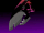 Higher Dimensional Data: Stealth Phantom