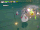 Basic Attack: Shoo the Fool