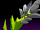 Higher Dimensional Data: Murderous Obituary
