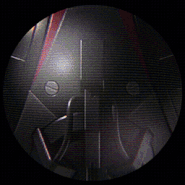 Sharpened Stinger Animation