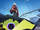 Hollow Survival Guide