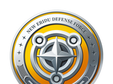 Defense Force - Silver Squad