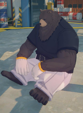 NPC Gray