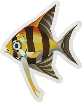 洋楽 Angelfish 洋楽 Angelfish Angelfish - Angelfish - Amazon.com Music