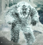 Yeti dude