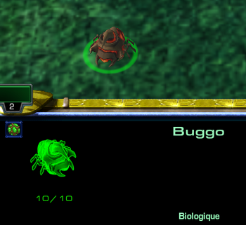 Buggo