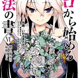 Vol 6 Manga cover.jpg